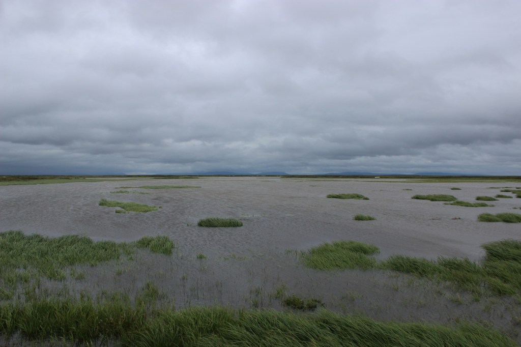 Summer flooding, Yukon-Kuskokwim Delta, western Alaska
